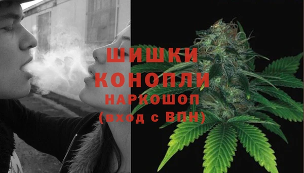 ГАЛЛЮЦИНОГЕННЫЕ ГРИБЫ Балахна