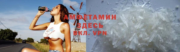 ГАЛЛЮЦИНОГЕННЫЕ ГРИБЫ Балахна