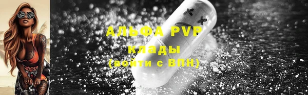 спайс Баксан